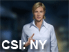 CSI: New York. Игра по мотивам сериала