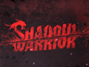 Демонстрация нового режима в Shadow Warrior