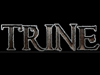 Анонс Trine 2