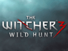 FPS в The Witcher 3: Wild Hunt не превысит 30 единиц