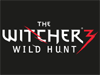 Новая информация об игре The Witcher 3: Wild Hunt