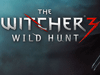 В The Witcher 3: The Wild Hunt будет упрощенная экономика